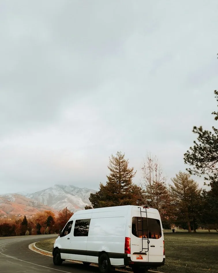 the vans